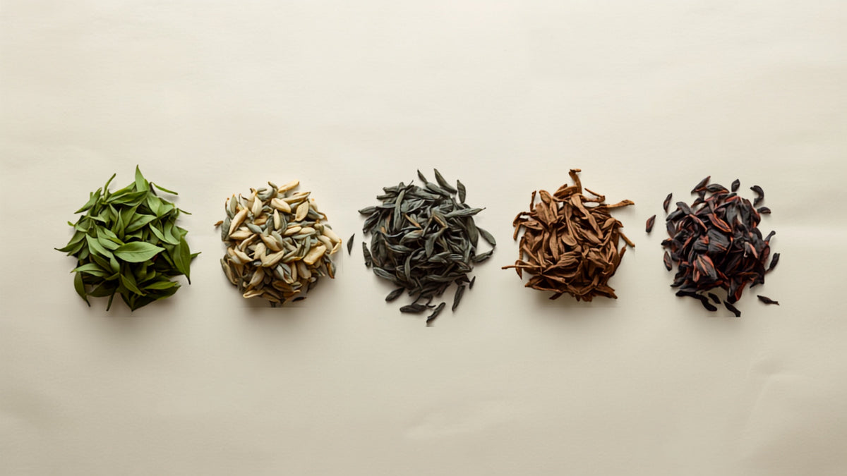 Flat-lay of the six classes of Chinese tea leaves side by side