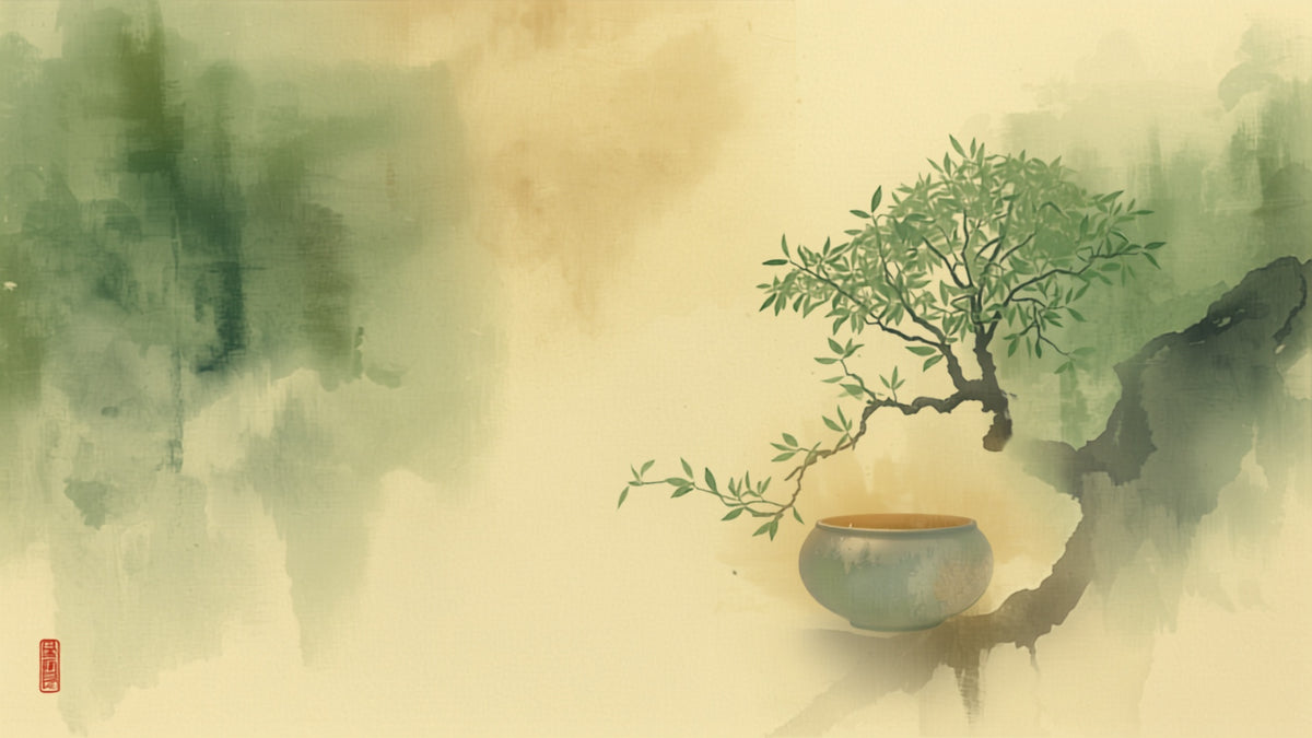 Misty mountain forest scene evoking the legendary discovery of tea