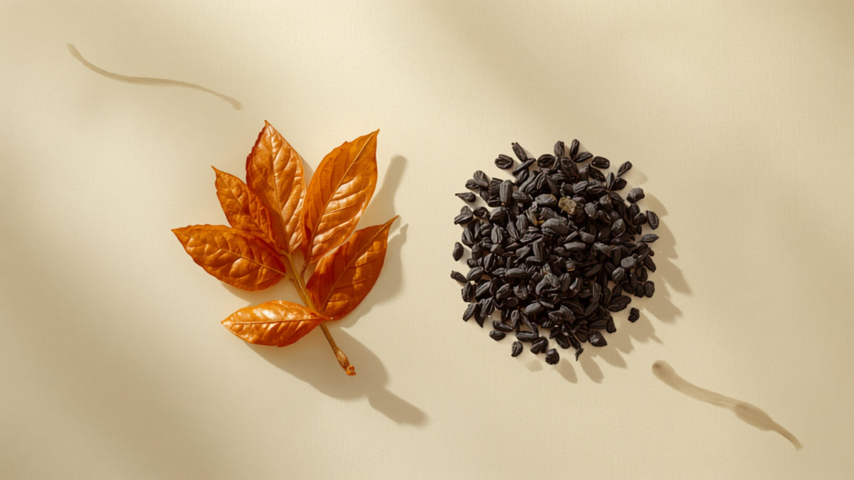 Whole leaf Chinese black tea beside finer broken black tea leaves
