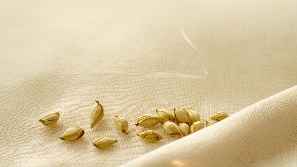 Delicate pale yellow-green tea buds resting during the yellowing process