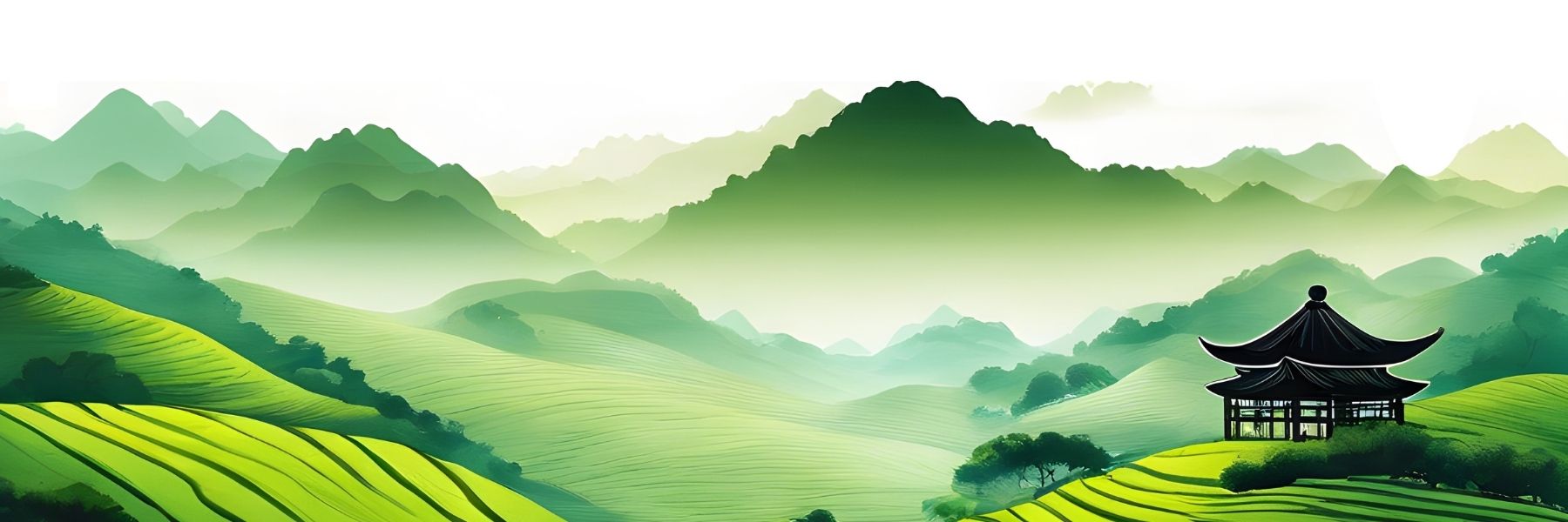 How to Brew Tea: The Complete Guide