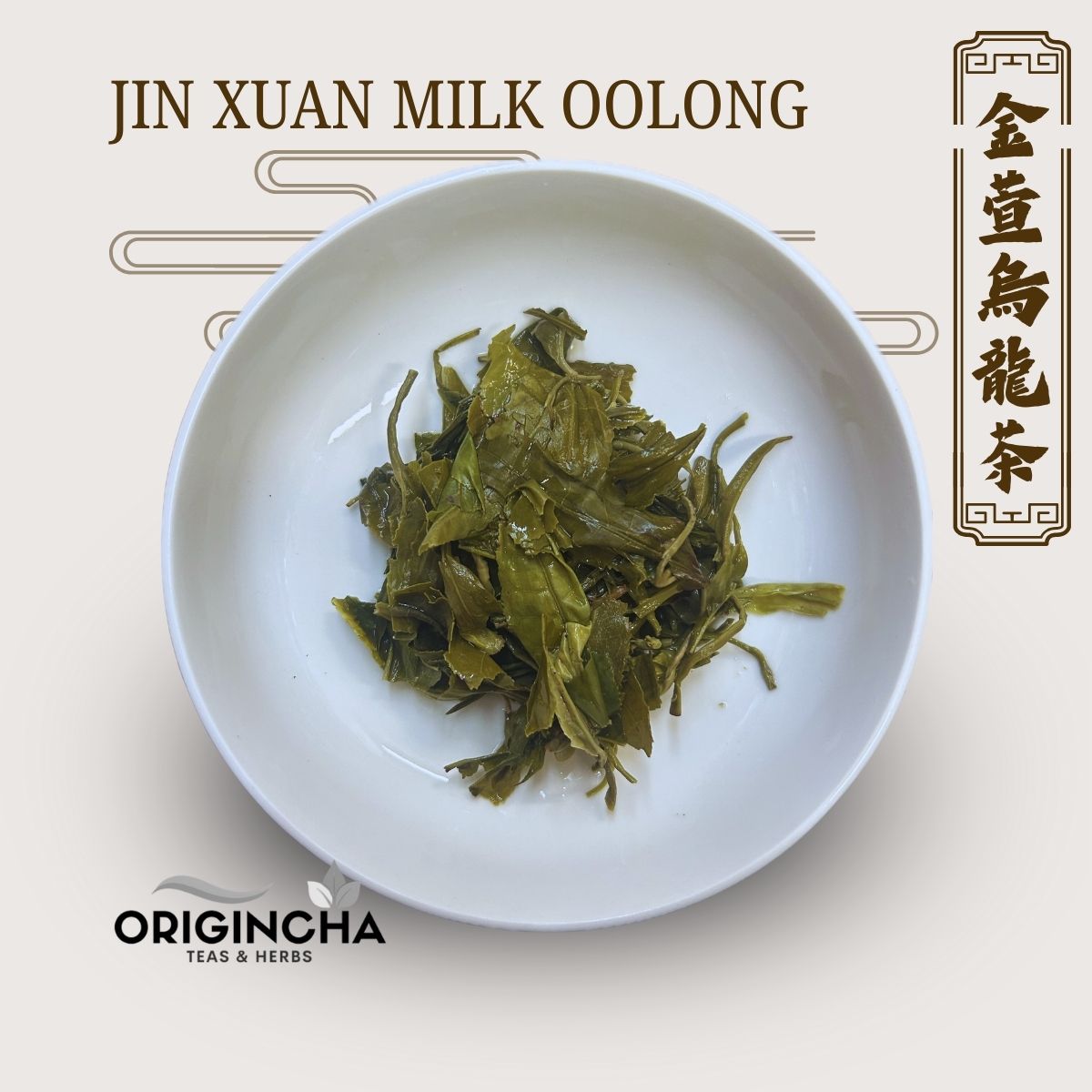 Jin Xuan Milk Oolong