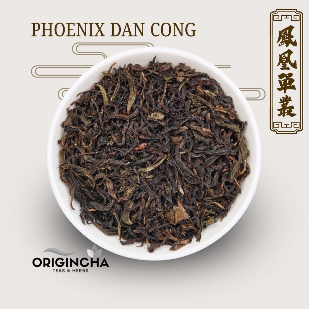 Phoenix Dan Cong